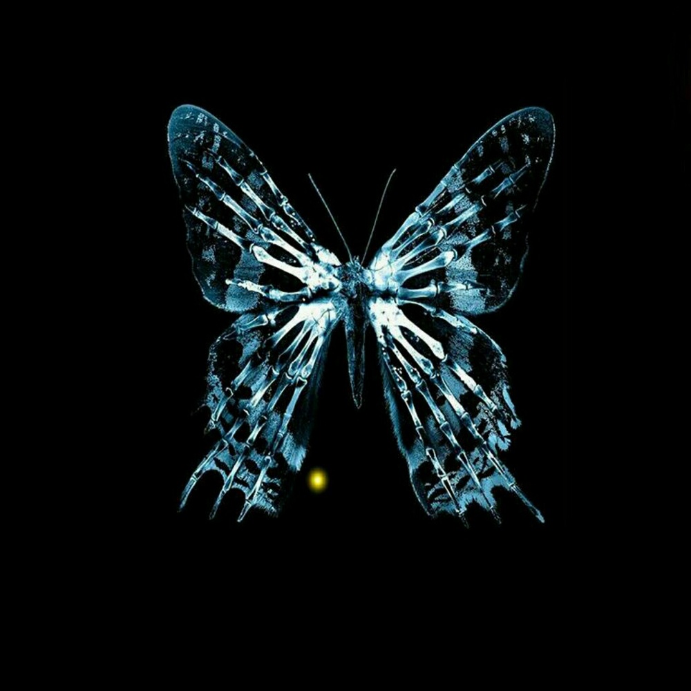 Meet your Posher, Ibrahim